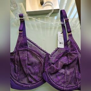 Purple Lace Underwire Bra - Women Intimates